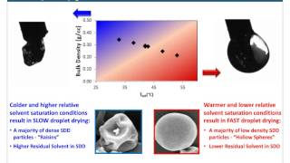 Webinar Fundamentals of SprayDried Dispersion Technology [upl. by Gronseth]