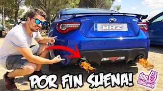 💥 HACEMOS QUE EL BRZ POR FIN SUENE ✅ ESCAPE DON SILENCIOSO HOMOLOGADO 🦉 [upl. by Debarath]