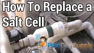 Tip 3  How to check if your salt cell is working [upl. by Perr323]