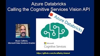 Azure Databricks Calling the Vision API [upl. by Neryt536]