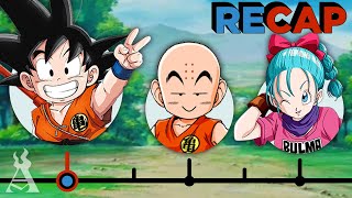 The Complete Dragon Ball Recap [upl. by Soalokcin358]