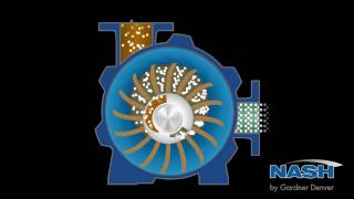 NASH Liquid Ring Vacuum Pump  How It Works [upl. by Risay]