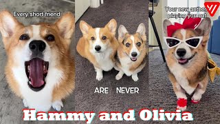 2 Hour Hammy and Olivia TikTok Videos 2023  Best Hammy And Olivia Tik Toks 20222023 [upl. by Kajdan]