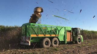 Cane Harvesting in Australia  ACE Transporter [upl. by Ytsenoh]