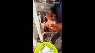 Kenyan Street Food  Eating Boiled Eggs [upl. by Cire]