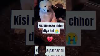 Matlab Ki Duniya ☝️🫠 Matlabi Log shorts poojaayodhya humanity dogsvideo supportanimal ytshort [upl. by Airod]