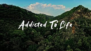 Kolohe Kai  Addicted to Life Official Music Video [upl. by Arbuckle123]