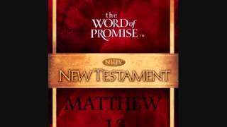 The Gospel of Matthew [upl. by Ellebanna584]