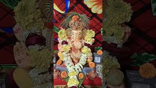 Last darshan of bappa [upl. by Upton204]