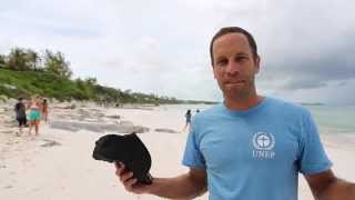 UNEP World Environment Day Beach Cleanup with Jack Johnson [upl. by Ayanej]