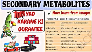 Secondary metabolites  Biomolecules  TRICK MNEMONIC TO LEARN [upl. by Nickola33]