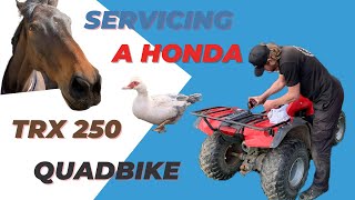 Servicing a Honda TRX 250 Quadbike [upl. by Adnalohs808]