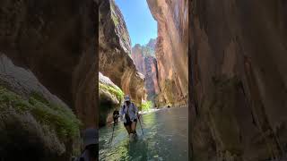 River Hike in Zion’s Spectacular Narrows zionnationalpark hikingadventure water hiking [upl. by Soo358]