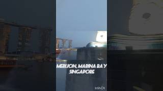 Merlion Singapore Reality singaporevlog singapore [upl. by Adnohsat]