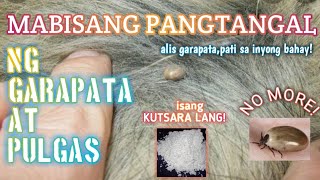 mabisangpangtangalnggarapata gamotnapamataygarapata  MABISANG PANGTANGAL AT PAMATAY GARAPATA [upl. by Aehtela902]