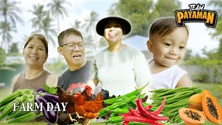 HARVEST TIME SA AMING FARM SA CAVITE  Pat Gaspar [upl. by Shulman]