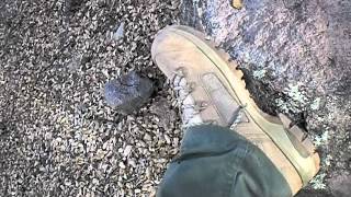 LOWA DESERT ELITE HIKING BOOTS REVIEW [upl. by Ennoved]