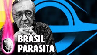 BRASIL PARALELO É ALVO DE CAMPANHA [upl. by Robi813]