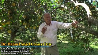 ‍🍊Inicios de la Citricultura Orgánica en México  Entrevista al Dr Manuel Ángel Gómez 2021 [upl. by Revell925]