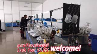 Professional Lab of SLES 70 [upl. by Shanney897]