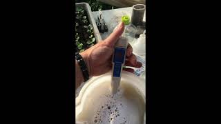 Powdery mildew treatment 1 [upl. by Esyahc742]