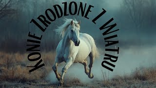 Konie Zrodzone z Wiatru [upl. by Short]