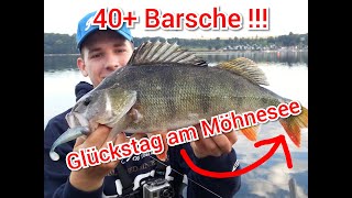 Mit Nitro durch´s Freiwasser  Auf Dickbarsch im Möhnesee mit dem Illex Nitro Shad 90 [upl. by Screens154]