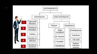 Enzymatic Antioxidants  مضادات الاكسدة الانزيمية الانزيمات [upl. by Ahcurb]