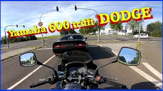 Kann der brummelnde DOGDE meine DIVA Yamaha XJ 600 beeindrucken [upl. by Stacy758]