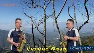 Cerezo Rosa櫻桃樹下Saxohone cover施滄智 [upl. by Rosette]