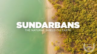 SUNDARBAN Tour  The Natural Shield on Earth  Sundarban National Park Delta  Sundarban Documentary [upl. by Eahsel881]