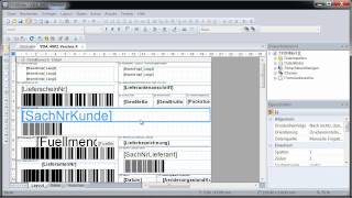 VDA4902 Labels und KLT Warenanhänger drucken TFORMer Designer [upl. by Engelbert398]
