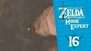 Létang du Crâne  MODE EXPERT Zelda Breath of the Wild  Ep16 [upl. by Aneev448]