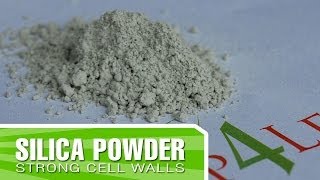 Organic Silica from Kelp4lesscom  Improve your plants structure and cell walls [upl. by Halludba]