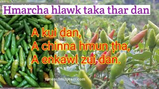 Hmarcha hlawk taka thar dan A chin dan leh enkawl zui dan [upl. by Brest]