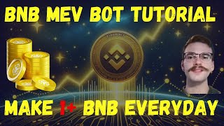 MEV bot for Binance Smart Chain in Solidity  1 BNB Everyday 2024 [upl. by Elene252]