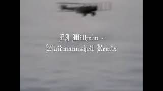 DJ Wilhelm  Waidmannsheil Remix [upl. by Maurice]