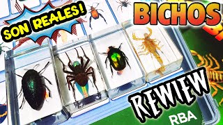 BICHOS RBA🦂 COLECCIÓN IMPERDIBLE 🐝 Son REALES🦋CAJA Para GUARDAR Tus BICHOS🐛Conservados En RESINA🕷️ [upl. by Martel899]