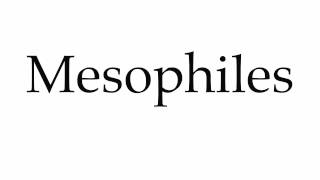 How to Pronounce Mesophiles [upl. by Bennett]