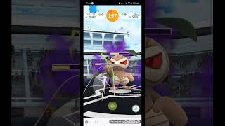 One Pheromosa vs Shadow Nuzleaf 1vs1 no weatherboost no enrage  Pokemon Go [upl. by Lippold]