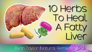 Top 10 Herbs for Fatty Liver Disease Natural Remedies [upl. by Dixie]