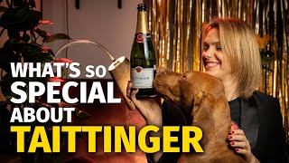 Whats So Special About TAITTINGER Champagne [upl. by Aldous]