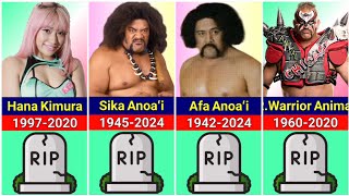 Recent WWE Wrestlers Deaths  BilliBhai [upl. by Merissa368]