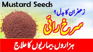 Rai ke fayde  Mustard Seeds Benefits  surkh rai ke fayde  Hakeem Farhan Niz [upl. by Amaras86]