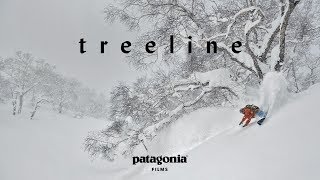 Treeline  The Secret Life of Trees  Patagonia Films [upl. by Toma]