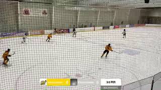 19U Honeybaked AAA vs Mississauga Hurricanes [upl. by Saffian]