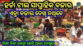 Hardatal bazar🤗ସାପ୍ତାହିକ୍ ବଜ଼ାର ହର୍ଡା ଟାଲ👌enta bazaar dekhi nai thibe [upl. by Louisa]