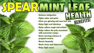 Peppermint Tea for Kids  Health Benefits amp How to Make It Safely [upl. by Ihcas]