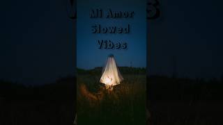 Mi Amor slowed vibes song slowedandreverb StrummerStudio [upl. by Ylesara]