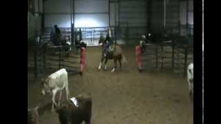 Cher The Glory  AQHA Dual PepSmart Little LenaHaidas Little Pep Mare Ranch Sorting [upl. by Gati]